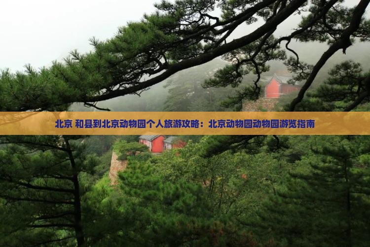 和县到北京动物园个人游