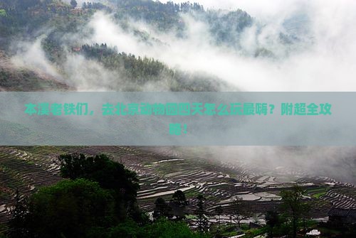 本溪到北京动物园四日游