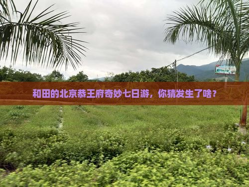 和田去北京恭王府七日游