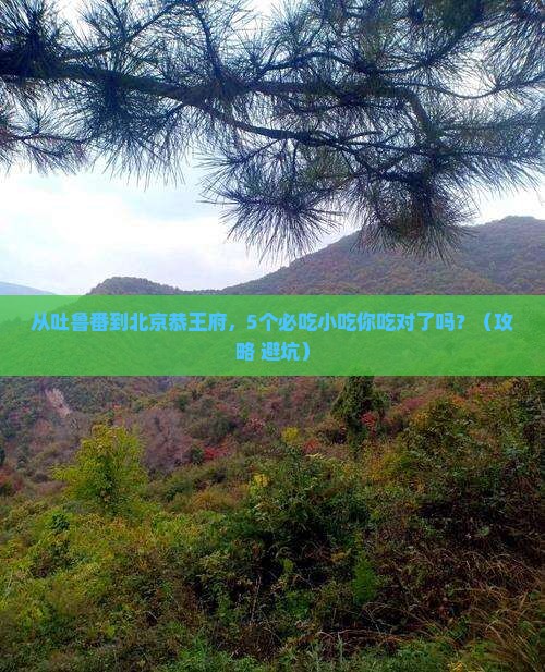 吐鲁番去北京恭王府旅游小吃
