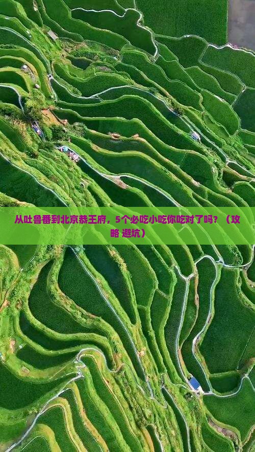 吐鲁番去北京恭王府旅游小吃