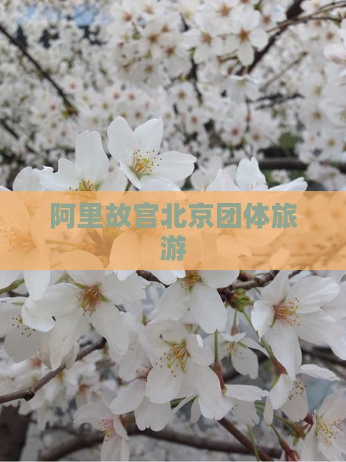 阿里去北京故宫博物院团体旅游