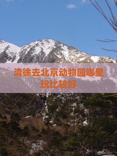 清徐去北京动物园哪里玩