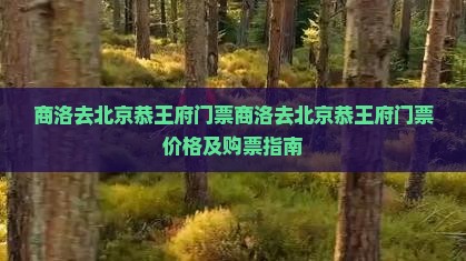 商洛去北京恭王府门票