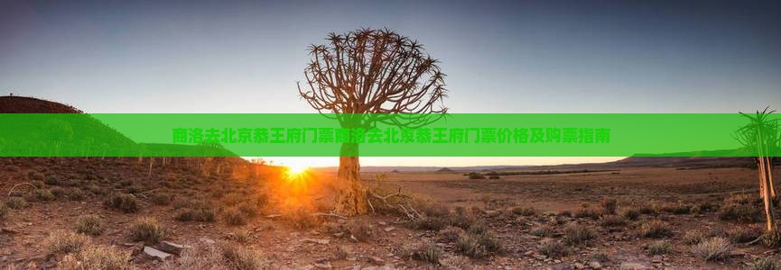 商洛去北京恭王府门票