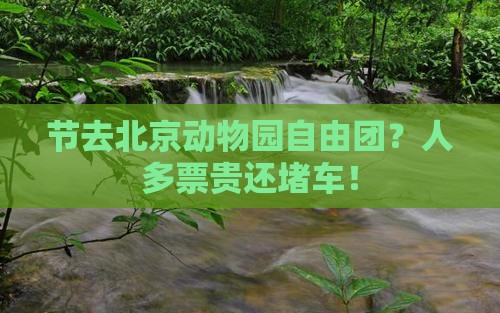 国庆节去北京动物园自由团