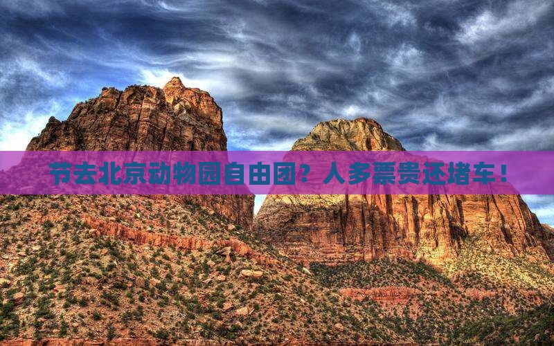 国庆节去北京动物园自由团