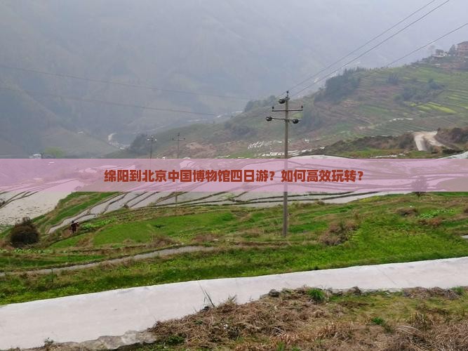 绵阳到北京中国国家博物馆四日游