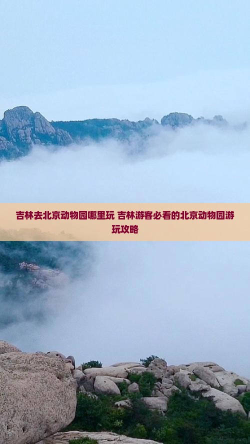 吉林去北京动物园哪里玩