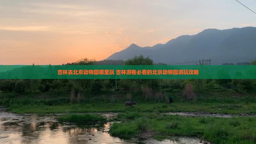 吉林去北京动物园哪里玩