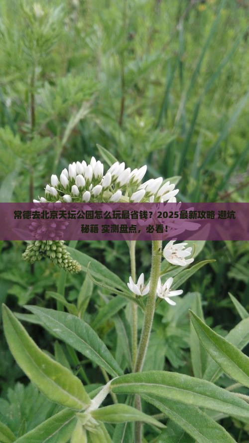 常德去北京天坛公园哪里玩
