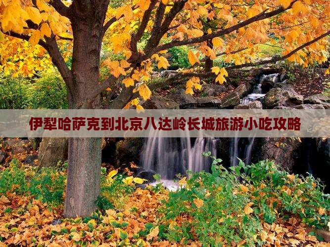 伊犁哈萨克到北京八达岭长城旅游小吃