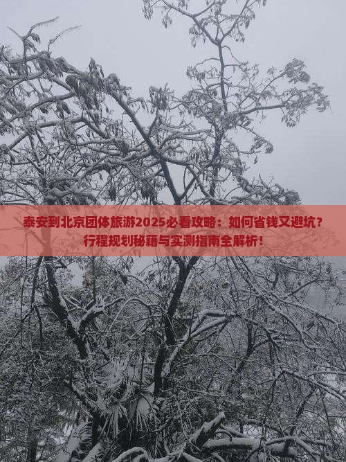 泰安到北京团体旅游
