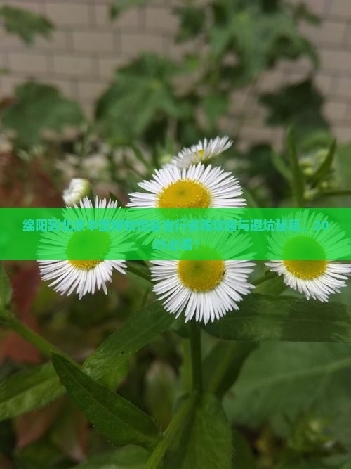 绵阳到北京中国国家博物馆自由团