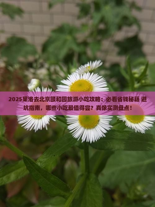 果洛去北京颐和园旅游小吃
