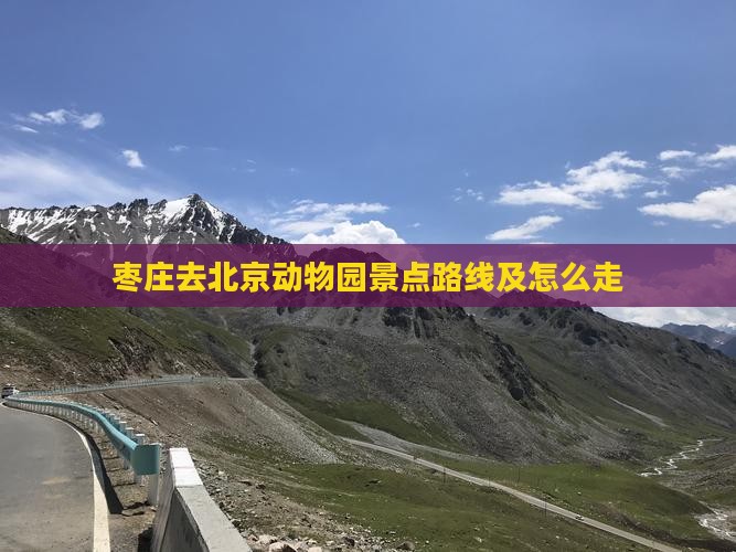 枣庄去北京动物园景点