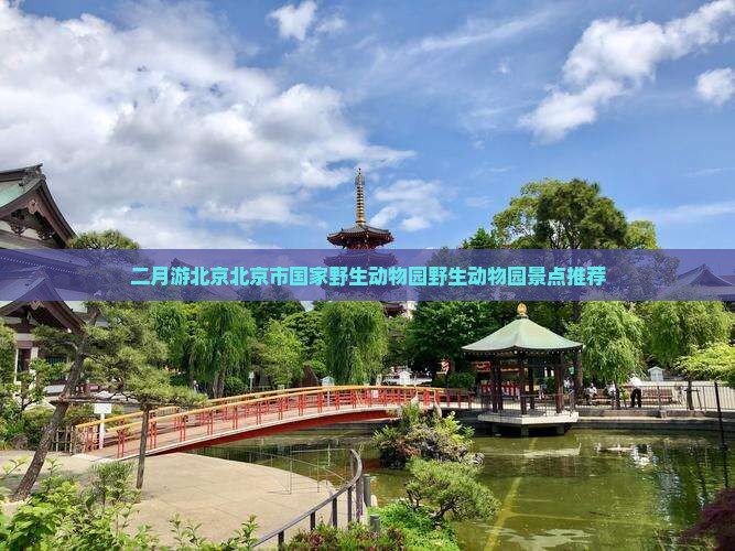 二月去北京动物园景点