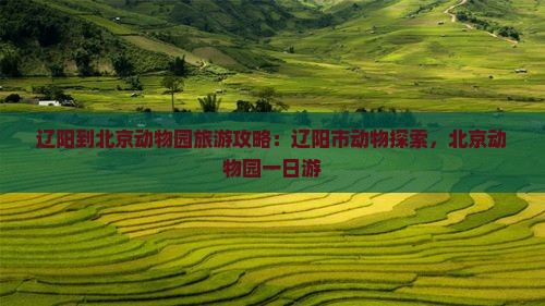 辽阳到北京动物园旅游 辽阳到北京动物园旅游