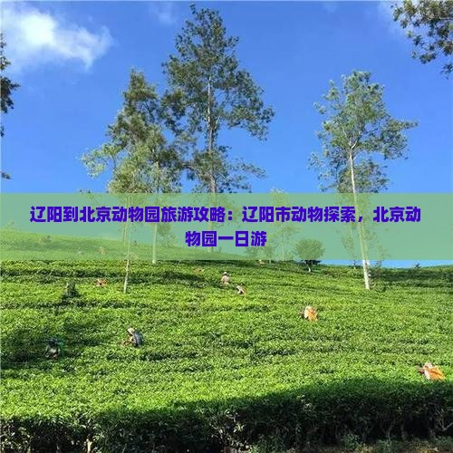 辽阳到北京动物园旅游 辽阳到北京动物园旅游