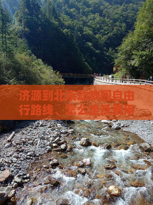 济源到北京动物园自由行
