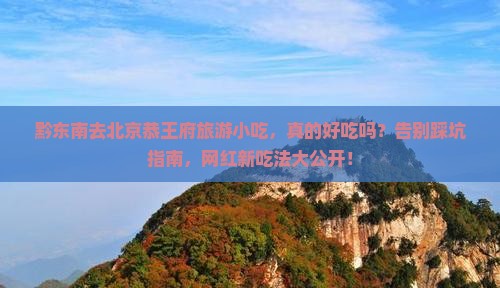 黔东南去北京恭王府旅游小吃