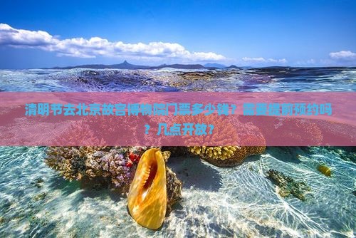 清明节去北京故宫博物院门票