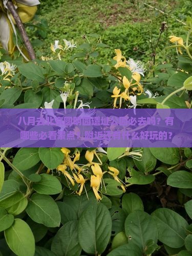 八月到北京圆明园遗址公园必去地
