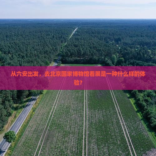 六安到北京中国国家博物馆团体旅游