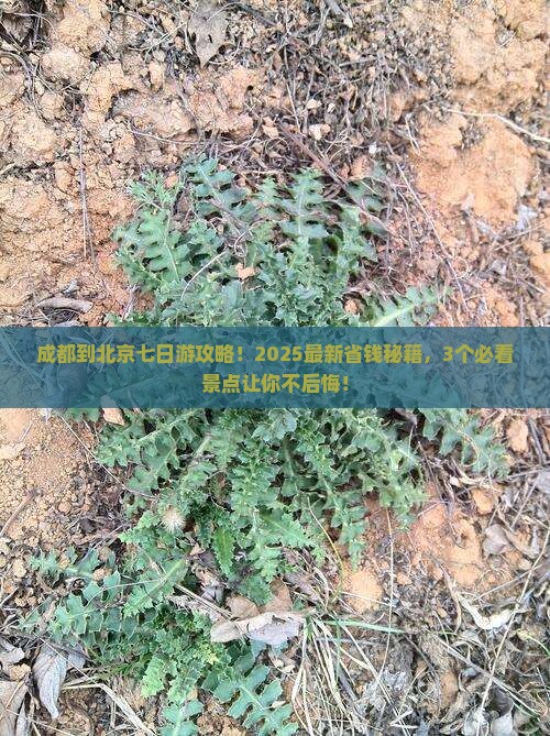 成都到北京七日游