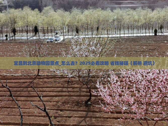 宜昌到北京动物园景点