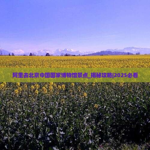 阿里去北京中国国家博物馆景点