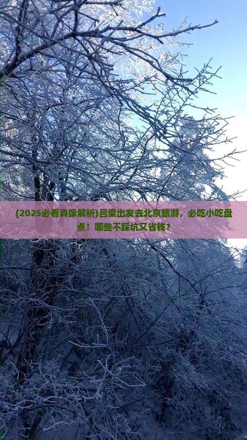 吕梁去北京旅游小吃