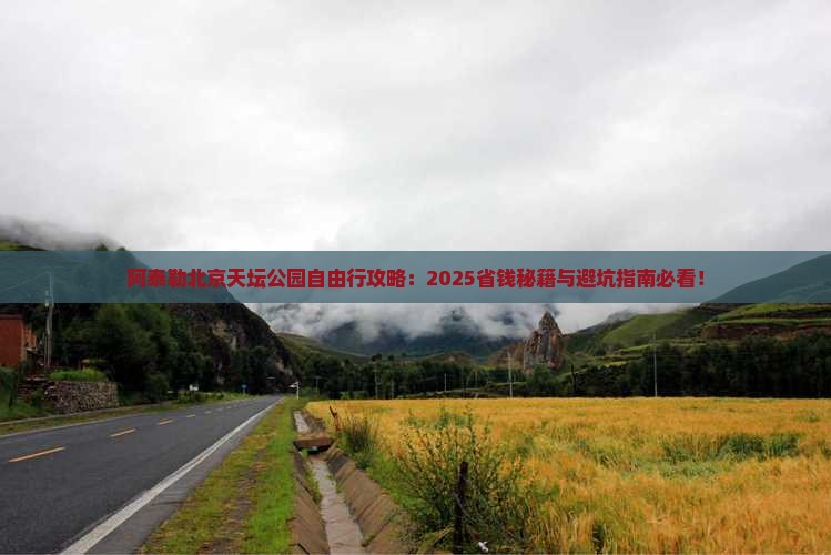 阿泰勒去北京天坛公园自由团