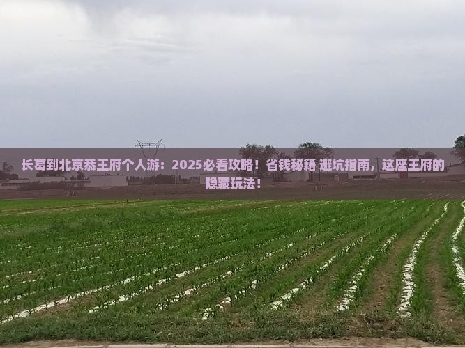 长葛到北京恭王府个人游