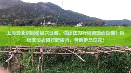 上海去北京颐和园六日游