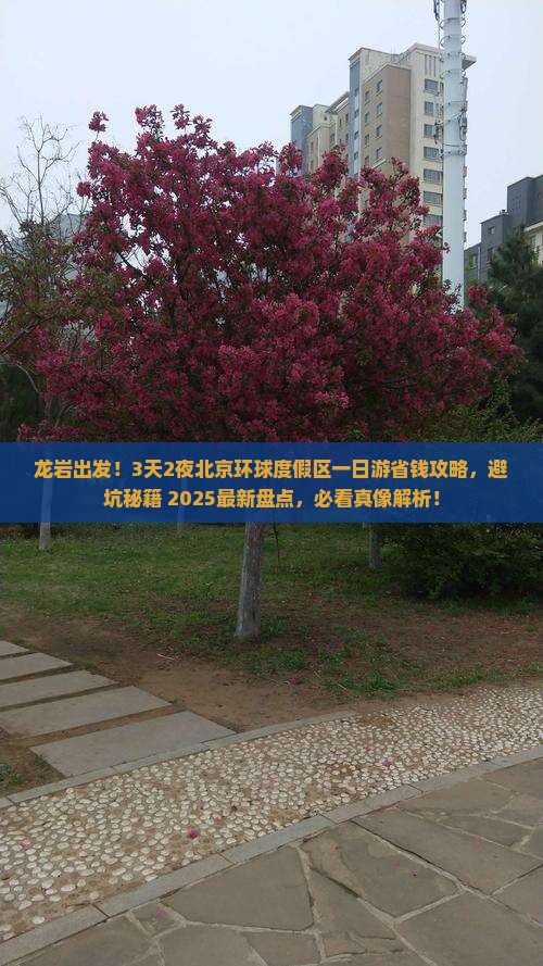 龙岩到北京环球度假区一日游