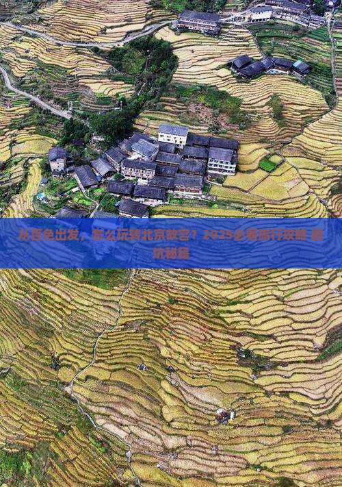 百色到北京故宫博物院旅行社