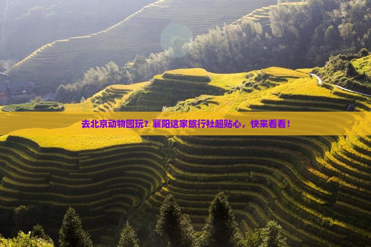 襄阳去北京动物园旅行社