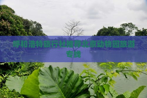 呼和浩特去北京动物园旅行社
