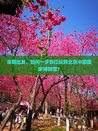 阜阳去北京中国国家博物馆攻略