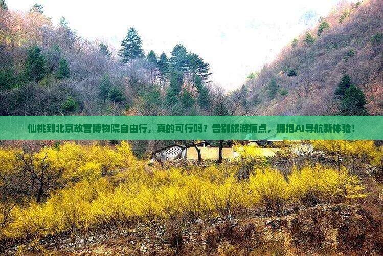 仙桃到北京故宫博物院自由行