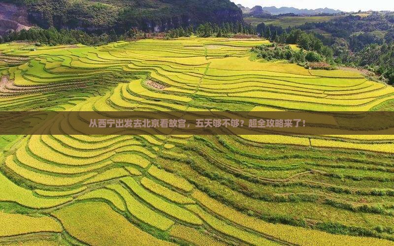 西宁到北京故宫博物院五日游