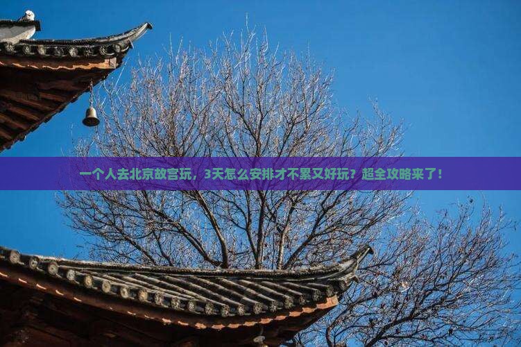 宝鸡到北京故宫博物院个人游