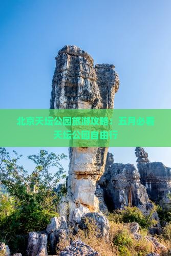 五月到北京天坛公园自由行