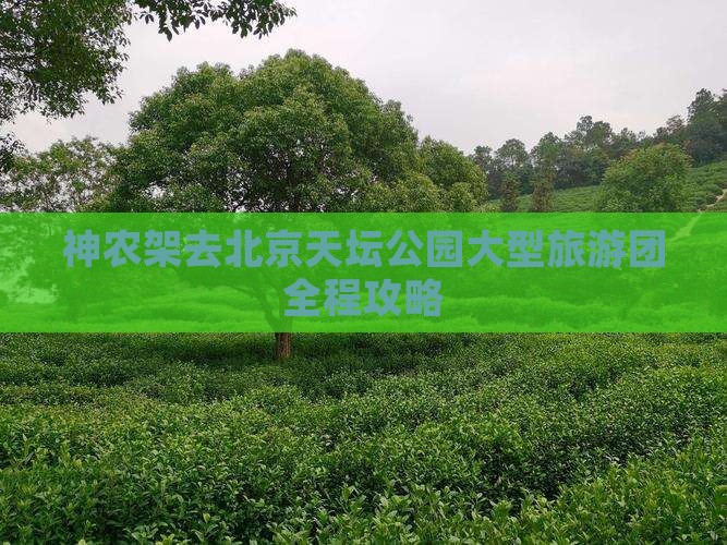 神农架去北京天坛公园大型旅游团