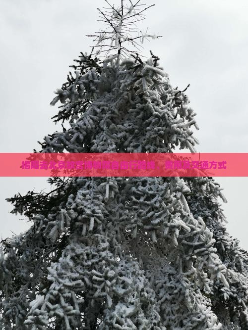 揭阳去北京故宫博物院自由行