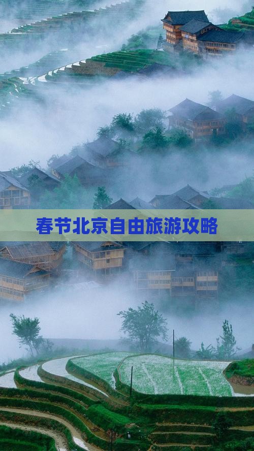 春节去北京自由团