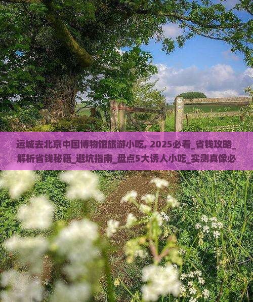 运城去北京中国国家博物馆旅游小吃