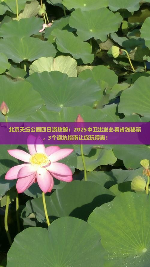 中卫去北京天坛公园四日游