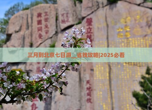三月到北京七日游